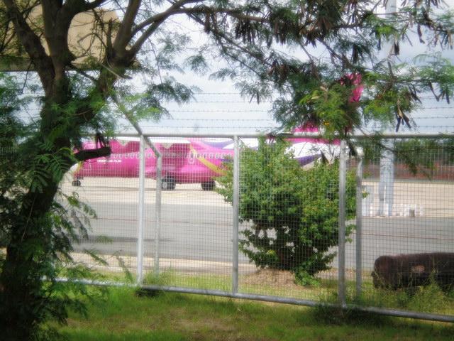P7230158_resize.JPG
